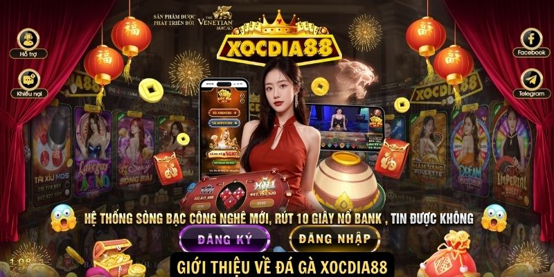 Giới thiệu về Đá Gà xocdia88